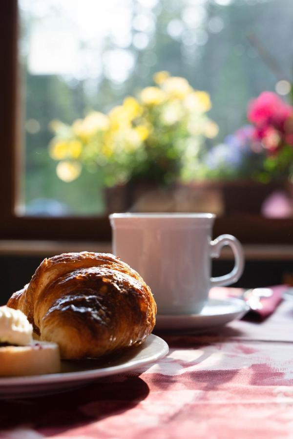 Hotel Dolomiti Des Alpes มีซูรีนา ภายนอก รูปภาพ